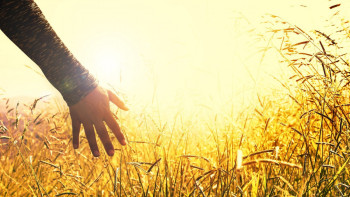 Фотография к новости: О дүниеге барып келген әйел не көргенін айтып берді