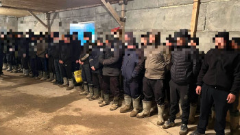 Фотография к новости: Заңсыз такси жүргізушісі болған шетелдіктер ұсталды