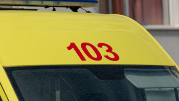 Фотография к новости: Жетісу облысында алты баласы бар келіншекті өлтіріп кетті