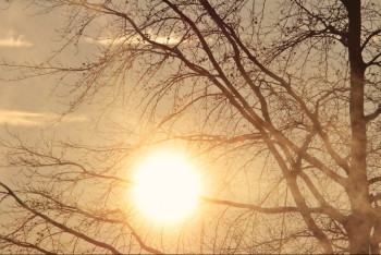 Фотография к новости: +20°C: қай өңірлерде күн жылиды