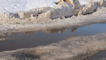 Фотография к новости: Қазақстан мен Ресей шекарасы маңындағы жолды су басты