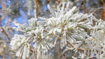 Фотография к новости: Бірнеше өңірде дауылды ескерту жарияланды