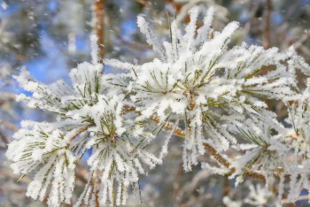 Фотография к новости: Бірнеше өңірде дауылды ескерту жарияланды