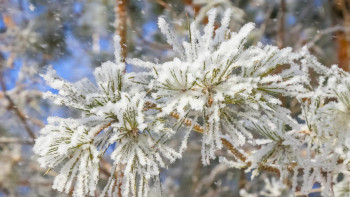 Фотография к новости: Синоптиктер ауа райына байланысты ескерту жасады