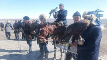 Фотография к новости: Жетісуда алғаш рет құсбегілер сайысы өтті