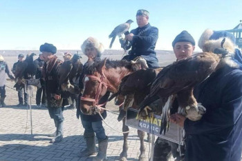 Жетісуда алғаш рет құсбегілер сайысы өтті