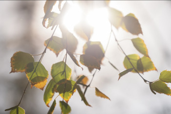 Фотография к новости: +30: алдағы күндерге ауа райы болжамы қандай