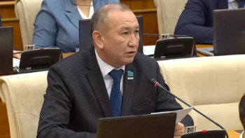 Фотография к новости: Депутат Ұлттық құрылтайға қатысты ойын айтты