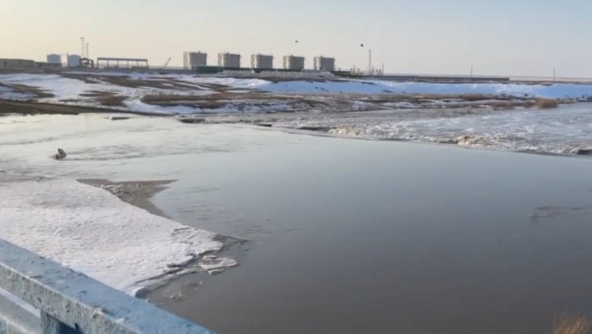  Видеодан скрин