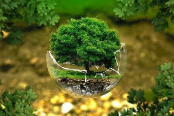 Фотография к новости: Бүгін – Жаңару күні