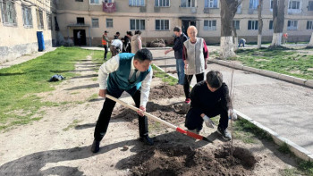 Фотография к новости: Жамбыл облысында "Таза Қазақстан" экологиялық акциясы жалғасып жатыр