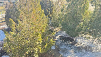 Фотография к новости: Жетісуда су басу қаупі жоғары