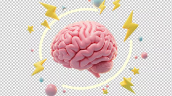 Фотография к новости: Ғалымдар ми қызметінің нашарлау себебін анықтады