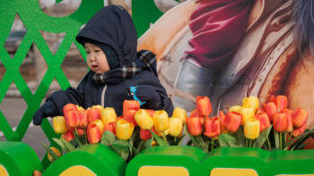 Фотография к новости: Қазақстанда қанша Наурыз бар?