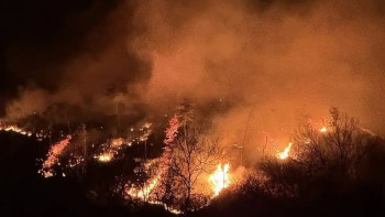 Фотография к новости: Оңтүстік Кореяда орман өрті өршіп барады