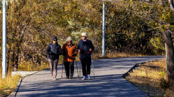 Фотография к новости: Күніне он мың қадам жасау сізге зиян болуы мүмкін