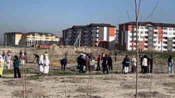 Фотография к новости: Таразда «Таза Қазақстан» акциясы аясында ағаш отырғызылды