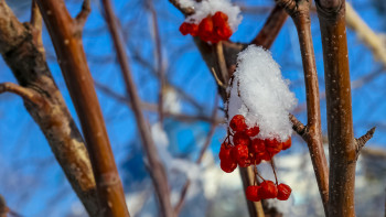 Фотография к новости: Наурыз айының соңғы күндері ауа райы қандай болады