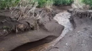 Фотография к новости: Қырғызстанда сел жүрді