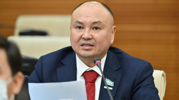 Фотография к новости: Шекаралық аудандарға арнайы мәртебе беру ұсынылды