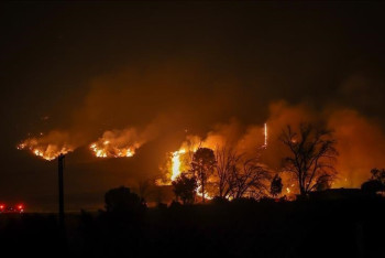 Фотография к новости: Оңтүстік Кореяда орман өртінен 15 мың гектар алқап жанып кетті