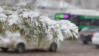 Фотография к новости: Алдағы күндері қай өңірлерде қар жауады