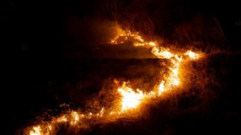 Фотография к новости: "Ең қорқынышты": Оңтүстік Кореяда өрттен қаза тапқандардың саны күрт артты