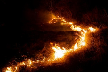 Фотография к новости: "Ең қорқынышты": Оңтүстік Кореяда өрттен қаза тапқандардың саны күрт артты