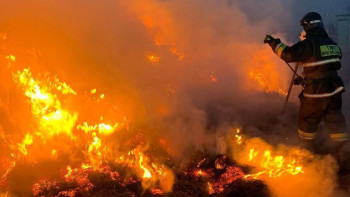 Фотография к новости: БҚО-да 4 тонна шөп өртенді