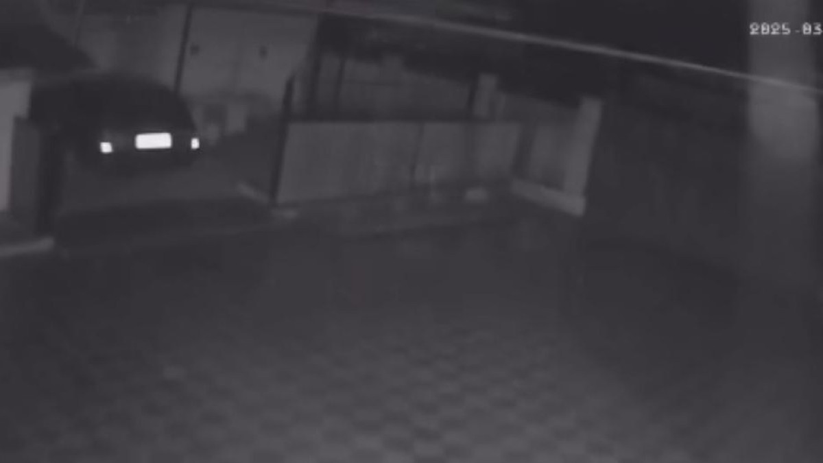  видеодан кадр