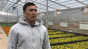 Фотография к новости: Жер астындағы жылыжай: жас агроном гүл өсіруде