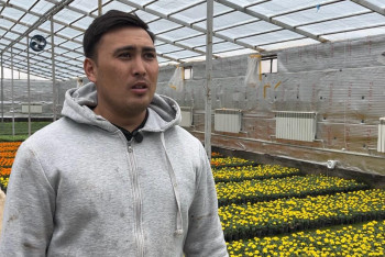 Фотография к новости: Жер астындағы жылыжай: жас агроном гүл өсіруде