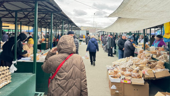 Фотография к новости: Жетісуда екі зауыт іске қосылады