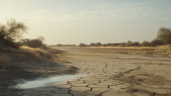 Фотография к новости: Биыл қай өңірде құрғақшылық болуы мүмкін?