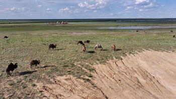 Фотография к новости: Өзен бойында орналасқан шаруашылық иелеріне ескерту берілді