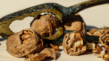 Фотография к новости: "Қырғыз жаңғағы" деуге тиіссіздер: грек жаңғағын басқаша атау ұсынылды