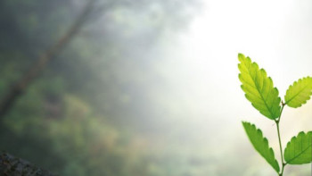 Фотография к новости: +20 ыстық болады: бүгінге ауа райы болжамы