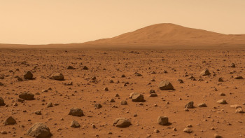 Фотография к новости: Марсқа төзімді тіршілік иесі анықталды