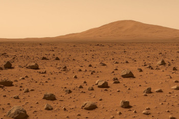 Фотография к новости: Марсқа төзімді тіршілік иесі анықталды