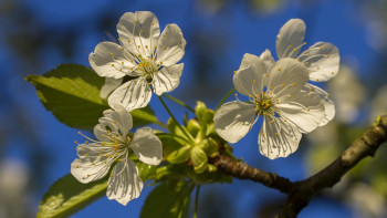 Фотография к новости: Бүгінгі ауа райы: жаңбыр жауып, найзағай ойнайды