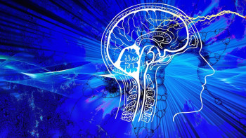 Фотография к новости: Зерттеу. Қысқа уақытта миыңызды 10 жылға жасартуға болады