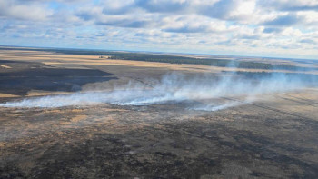 Фотография к новости: Абай облысында 400 гектар орман өртеніп кетті