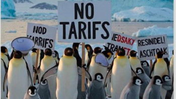 Фотография к новости: Адамы жоқ аралдар да салыққа "салғырт" қарамады