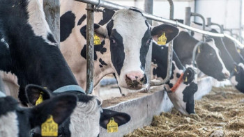 Фотография к новости: Абай облысының бір ауданында карантин жарияланды