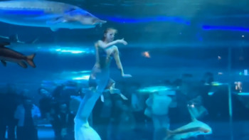 Фотография к новости: Қытайда аниматор қыз алып балыққа жем бола жаздады