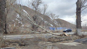 Фотография к новости: Шығыс Қазақстанда қатты желден бірқатар әлеуметтік нысандарға зақым келді