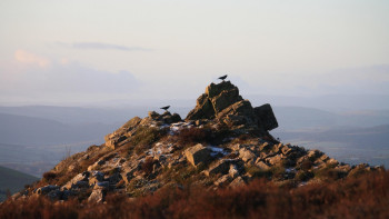 Фотография к новости: "Мыс таусылады" – геологтар ескерту жасады