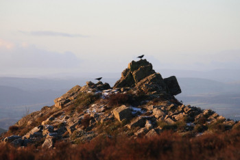 Фотография к новости: "Мыс таусылады" – геологтар ескерту жасады