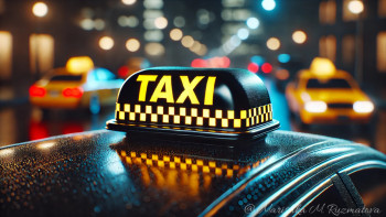 Фотография к новости: "Шетелдіктерден 200 мың теңге тартып алған". Туризм министрлігі не дейді?