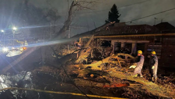 Фотография к новости: Алматыда қатты желден ағаштар құлап, тұрғын үйлер зақымданды